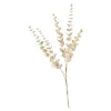 Depot Zweig Eukalyptus Modern Ca.74Cm, Creme^ Fleurs