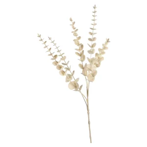 Depot Zweig Eukalyptus Modern Ca.74Cm, Creme^ Fleurs