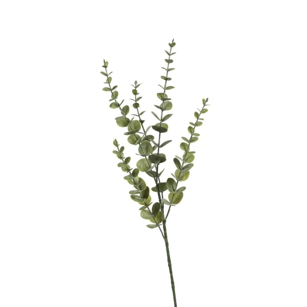Depot Zweig Eukalyptus Modern Ca.74Cm, Creme