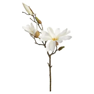 Depot Zweig Magnolie Ca.48Cm